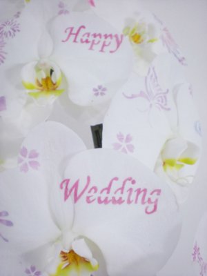 画像1: HappyWedding