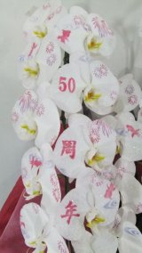 祝50周年